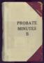 Book: Travis County Probate Records: Probate Minutes B