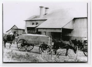 [Cotton Gin with Mules and Wagon]