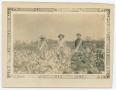 Photograph: [Men in a Cotton Field]