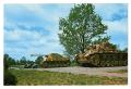 Postcard: [Postcard of Parked Tanks]