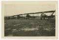 Photograph: [Photograph of a Row of Airplanes in a Field]
