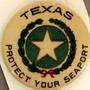 Physical Object: [Button - seal of the state of Texas in center states: "TEXAS PROTECT…
