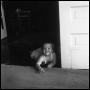 Photograph: [Baby Crawling on a Floor]