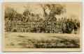 Postcard: [Postcard of Infantry Replacement Band]