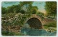 Postcard: [Postcard with an Illustration of a Bridge Over a Creek]