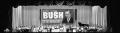 Photograph: [Wide Shot of George H.W. Bush Rally]