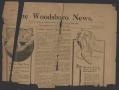 Newspaper: The Woodsboro News. (Woodsboro, Tex.), Vol. 3, No. [6], Ed. 1 Friday,…