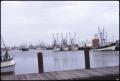 Photograph: [Shrimp Fleet at Port Isabel]