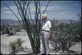 Photograph: [Adolph Streng Among Desert Vegetation]